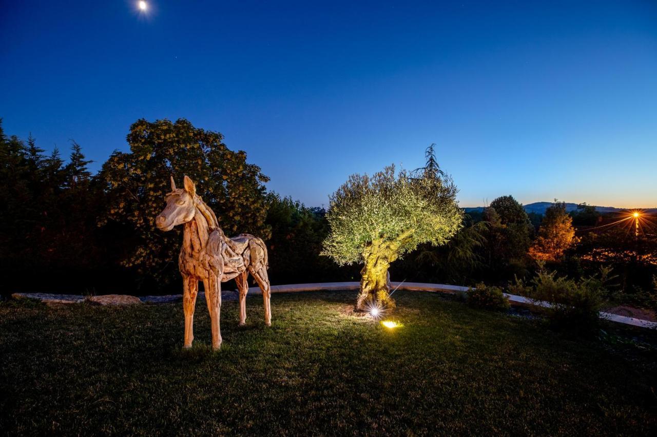 Bed and Breakfast Nuits Aux Sources Chassey-le-Camp Exterior foto